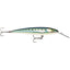 Rapala CountDown Magnum Elite 185 7 Armored Sardine CDMAGE185AMSRD