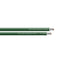 SeaDog 10 AWG Green Primary Wire 500 8010047