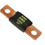 Blue Sea 5101 MEGAAMG Fuse 100AMP 5101