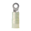 Ancor 1210 AWG 6 Nylon Ring Terminal 25Pack 210221