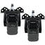 CargoBuckle Universal Ladder Rack TieDown System 2 Retractable TieDown 1 Pair F153180
