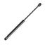 Attwood Springlift Black Composite  10mm Socket  Extended 269  Compressed 152 SL26501