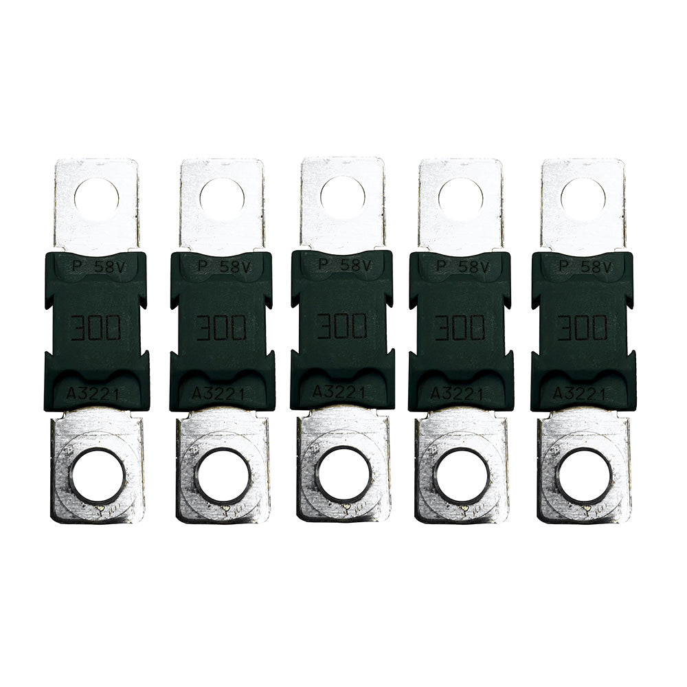 Victron MEGAFuse 300A80V Ceramic Package of 5 Pieces CIP138300020 Main image