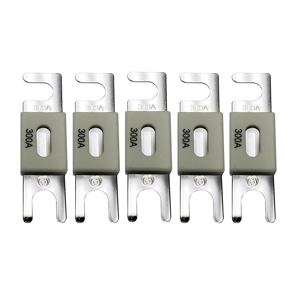 Victron ANLFuse 300A80V f48V Products Package of 5 CIP143300020 Main image
