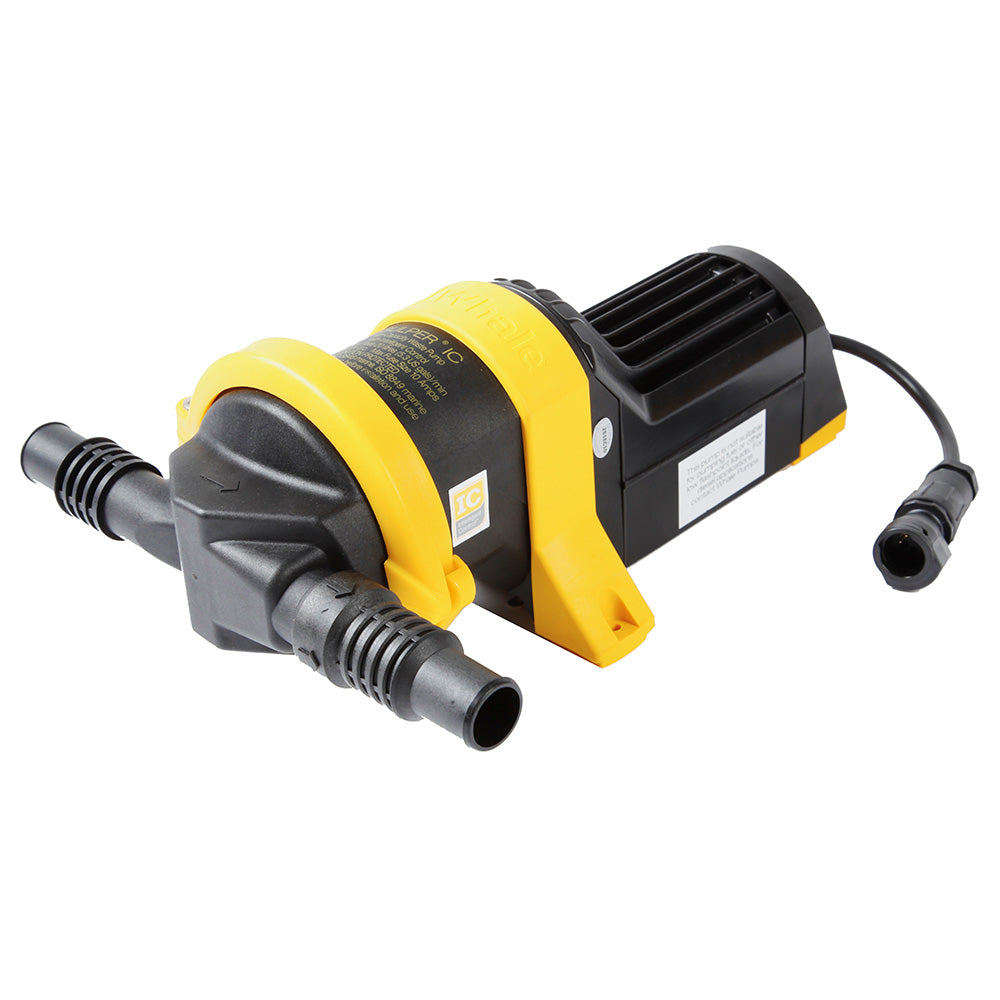 Whale Gulper IC Waste Pump  12V BP2082B Main image
