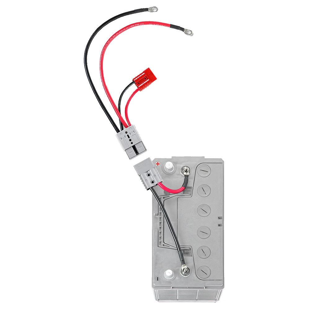 ConnectEase Quick Connect wAccessory Port 6 Gauge RCE12VBM6K Main image