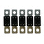 Victron MEGA Fuse 225A80V Package of 5 Pieces CIP138225020