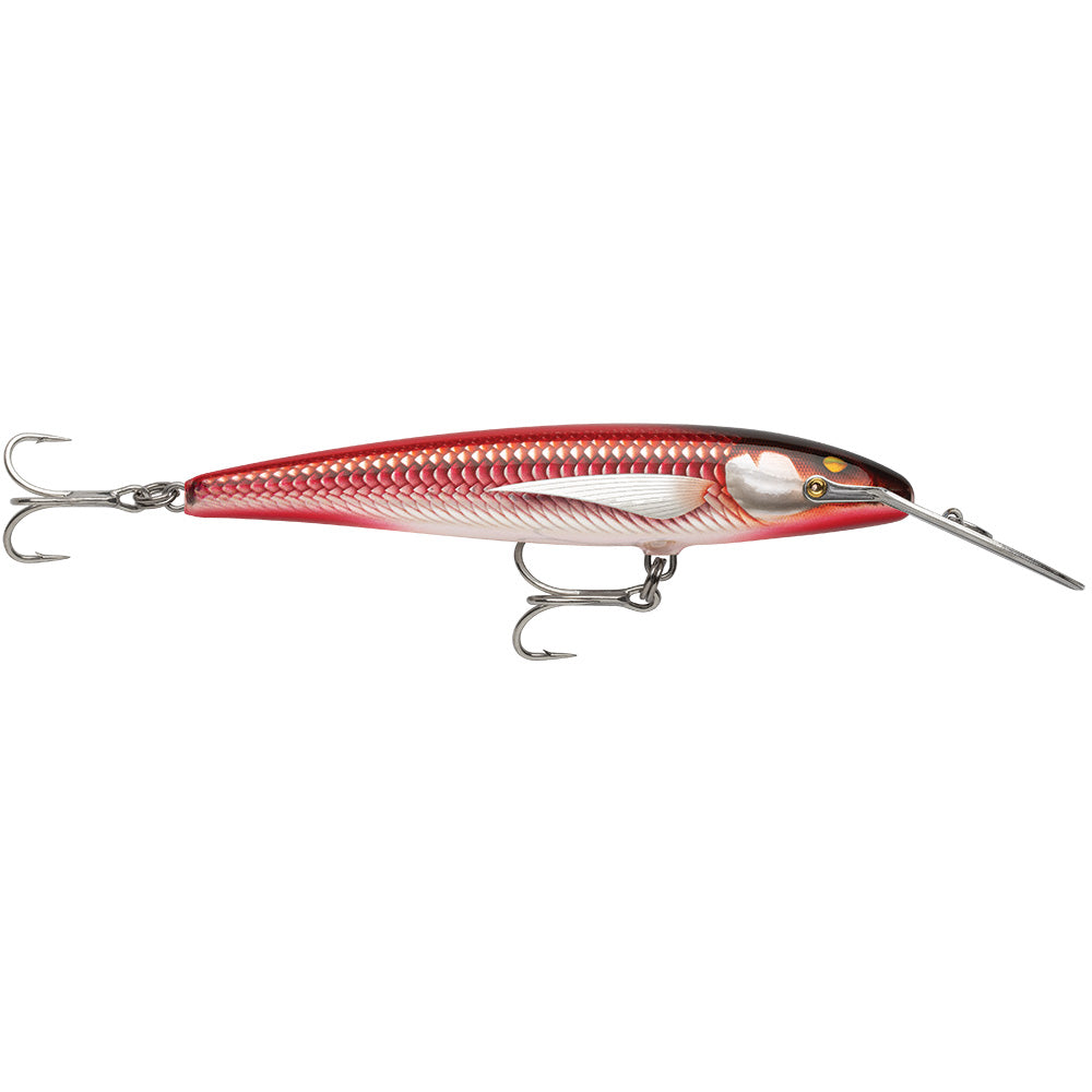 Rapala CountDown Magnum Elite 145  534  Armored Real Red Bait CDMAGE145AMRRB Main image