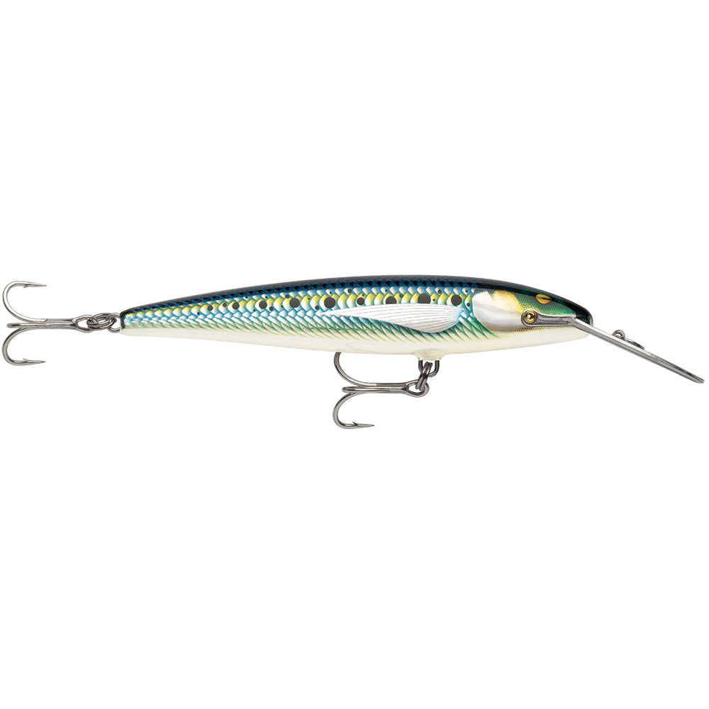Rapala CountDown Magnum Elite 145  534  Armored Sardine CDMAGE145AMSRD Main image