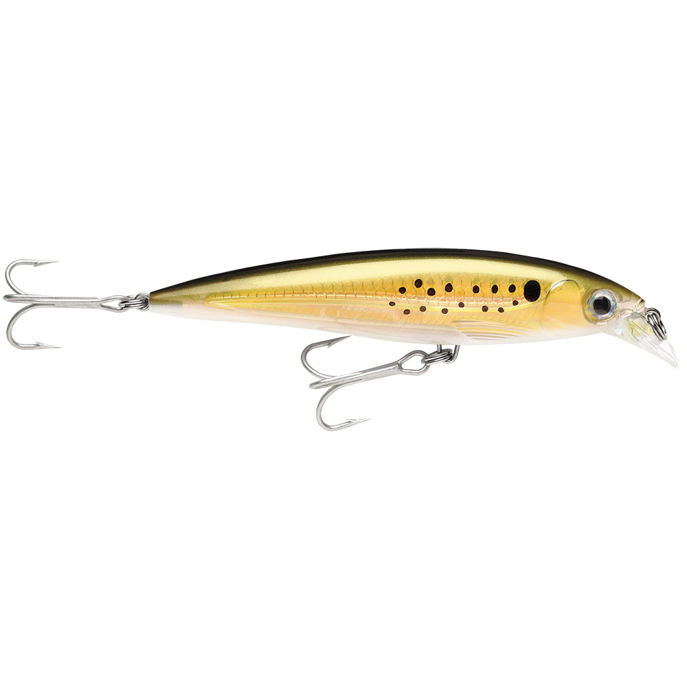 Rapala XRap Saltwater 4  Bunker SXR10BNK Main image