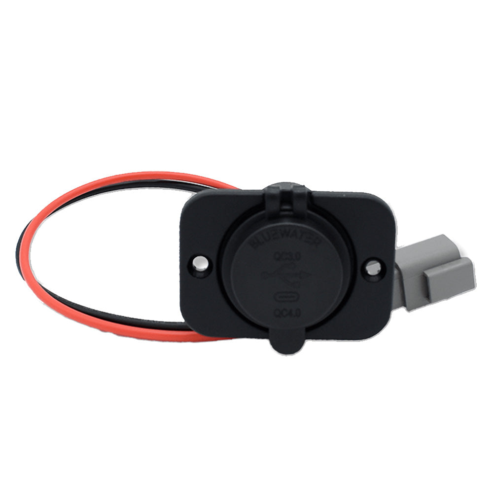 Bluewater USBUSBC wDeutsch Connector  Plate 60003005 Main image