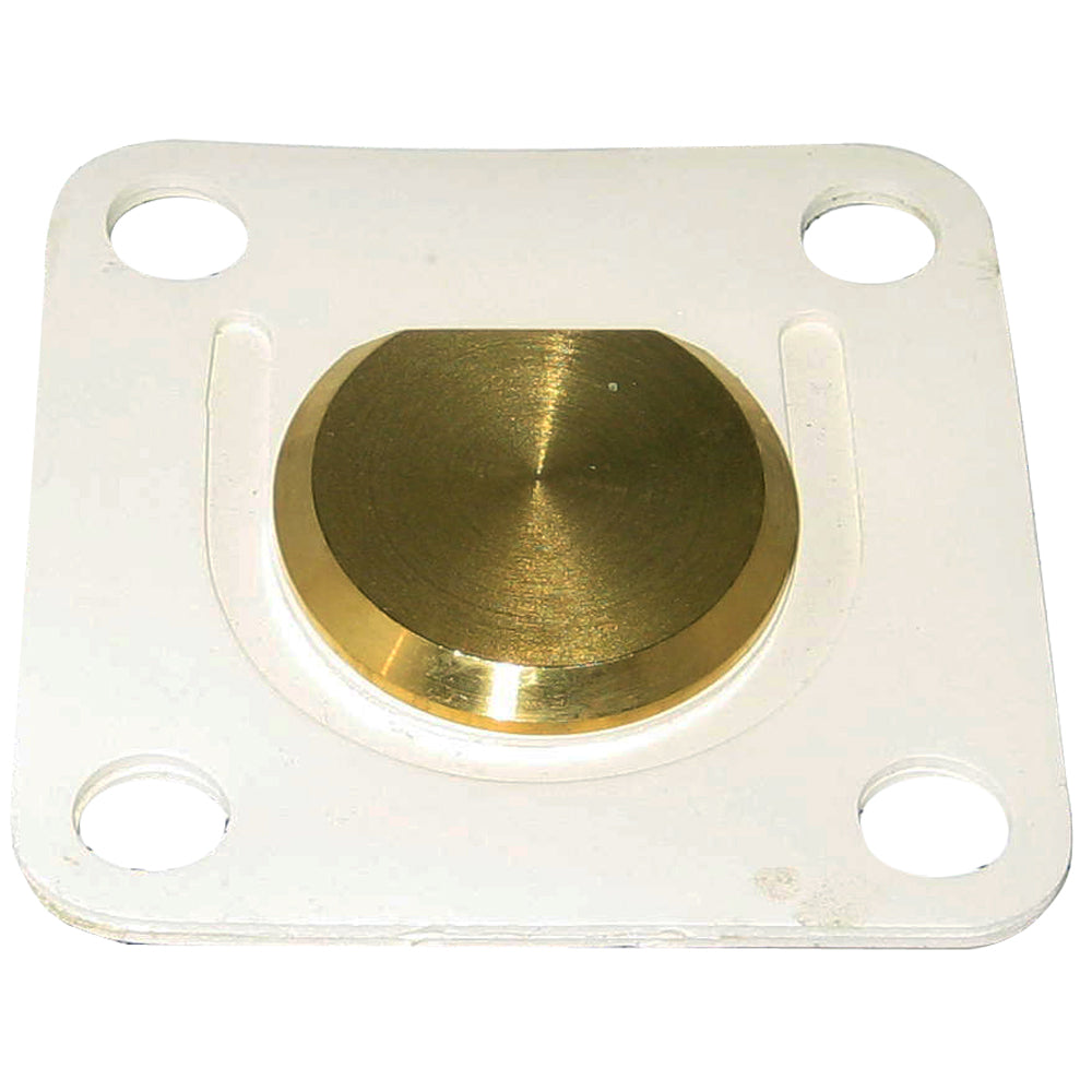 Raritan Flapper Valve Assembly fPHII  PHEII 1228CW Main image
