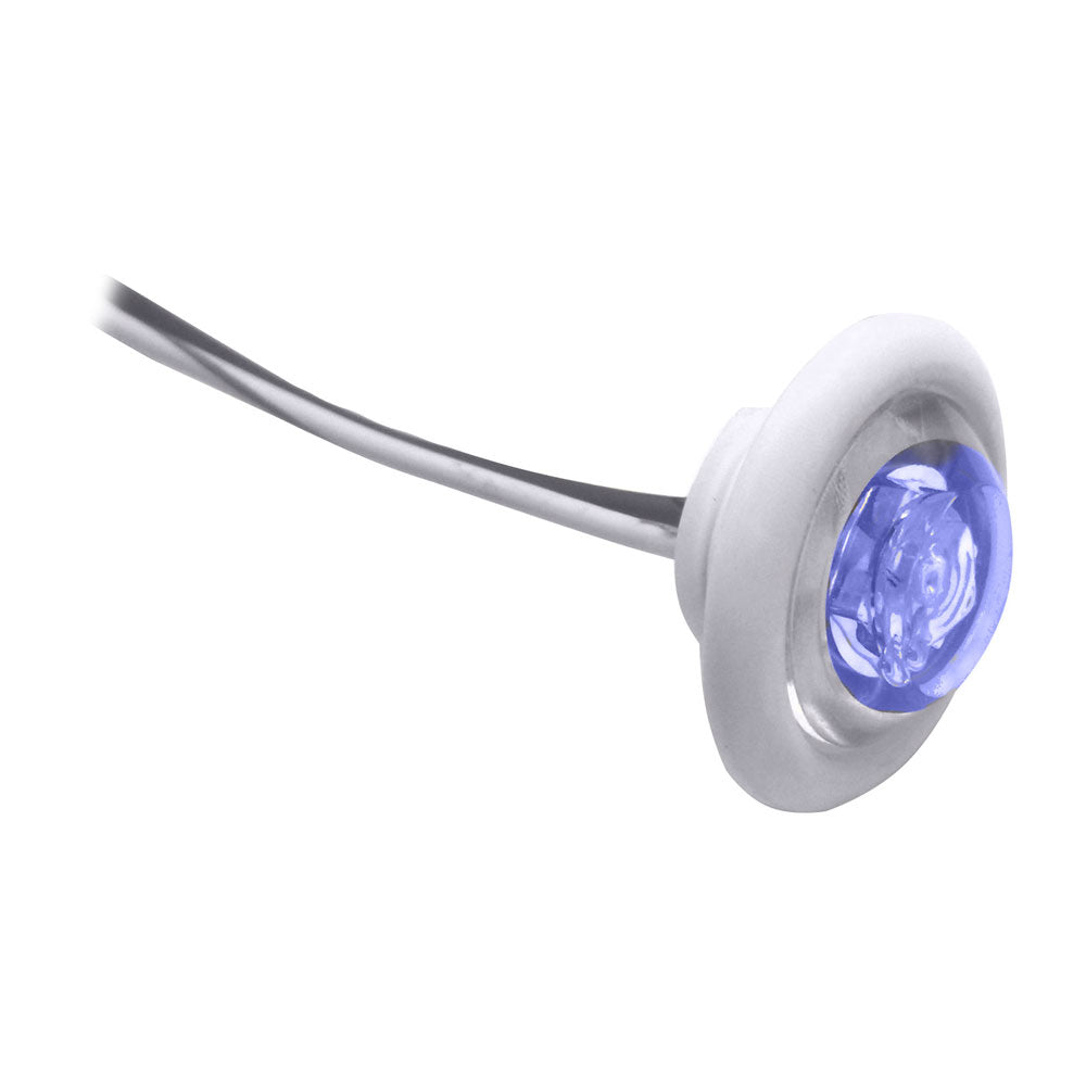 Innovative Lighting LED BulkheadLivewell Light The Shortie Blue LED w White Grommet 01125407 Main image