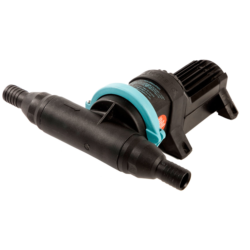Whale Gulper Grouper Fishbox Evacuation Pump 12V BP4572 Main image