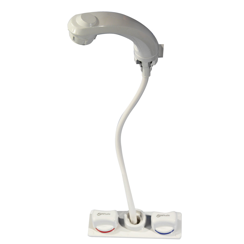 Whale Elegance Combination Pull Out Mixer FaucetShower RT2498 Main image