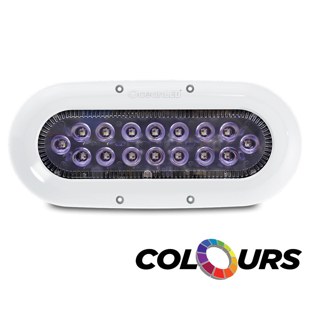 Ocean LED XSeries X16  Colours LEDs 012311C Main image