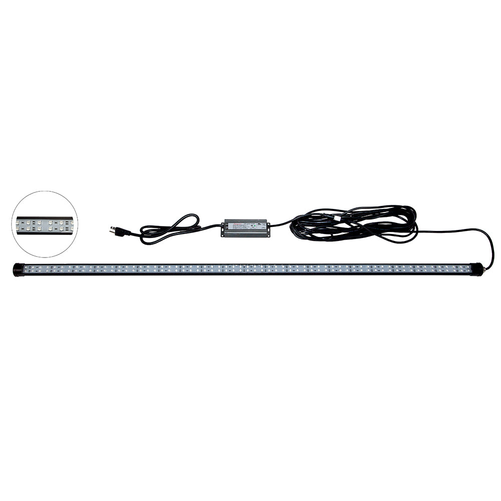 Hydro Glow DM260G 40W120VAC Dock Mounted Fishing Light  Green DM260G Main image