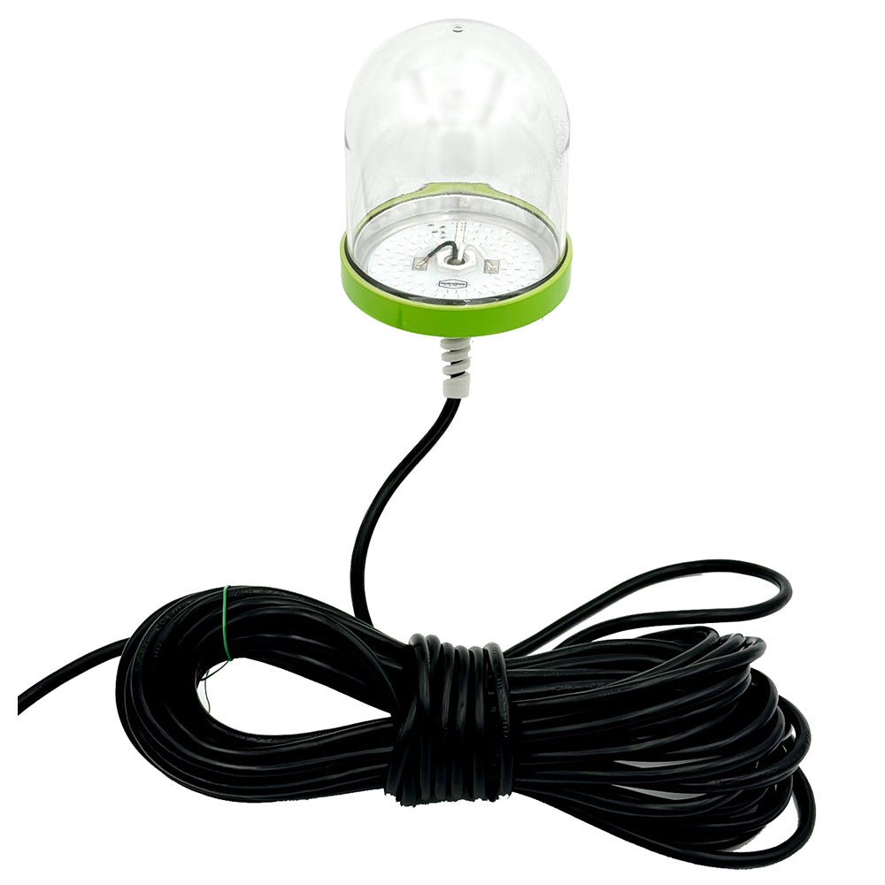 Hydro Glow SF100G 100W120VAC Underwater Dock Light  Green Anchored To Bottom SF100G Main image