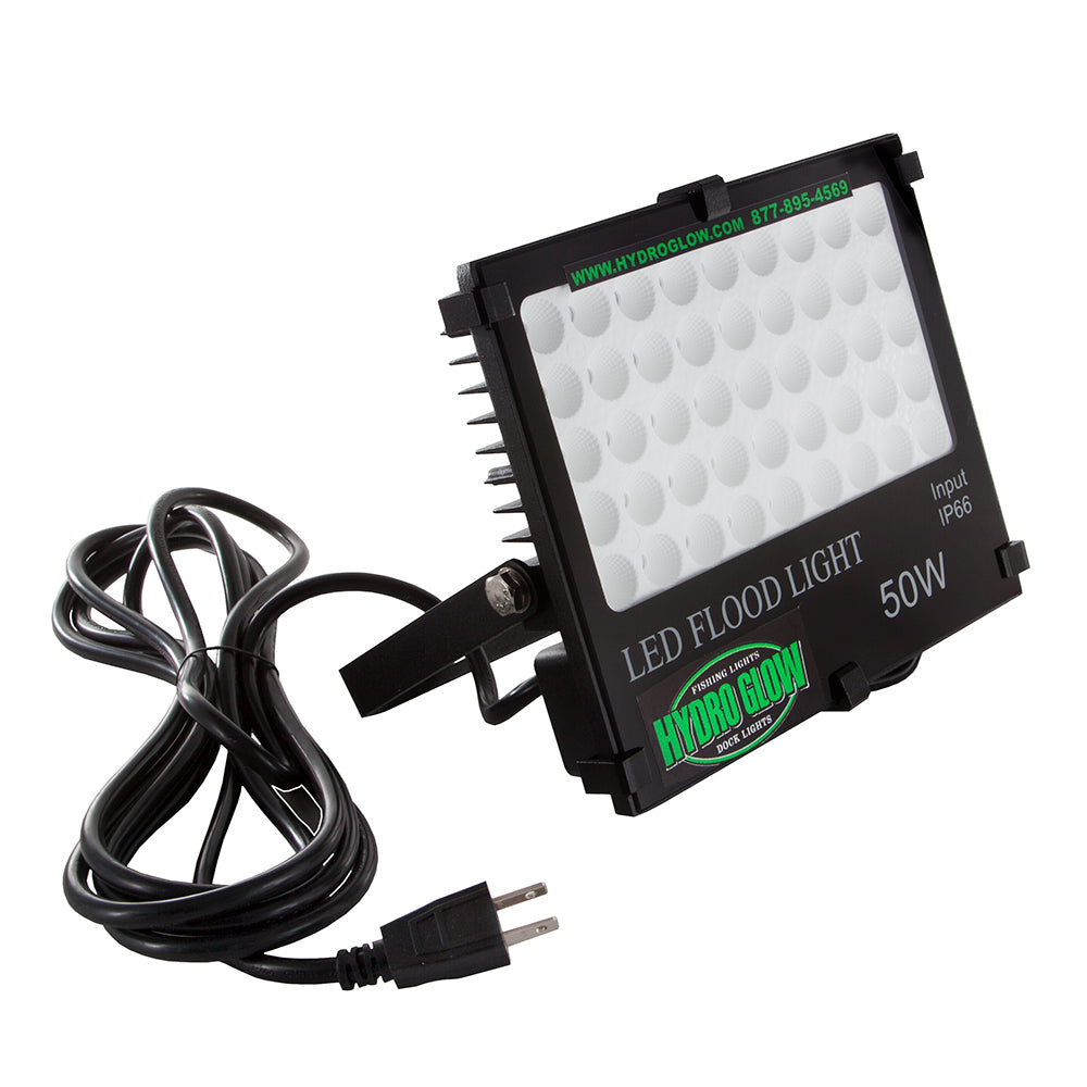 Hydro Glow FL50 50W120VAC Flood Light  Green FL50 Main image