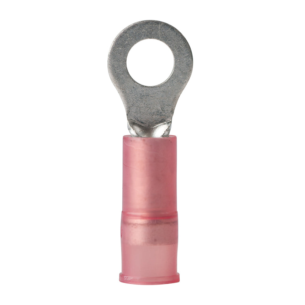 Ancor 2218 AWG  8 Nylon Ring Terminal  100Pack 220202 Main image