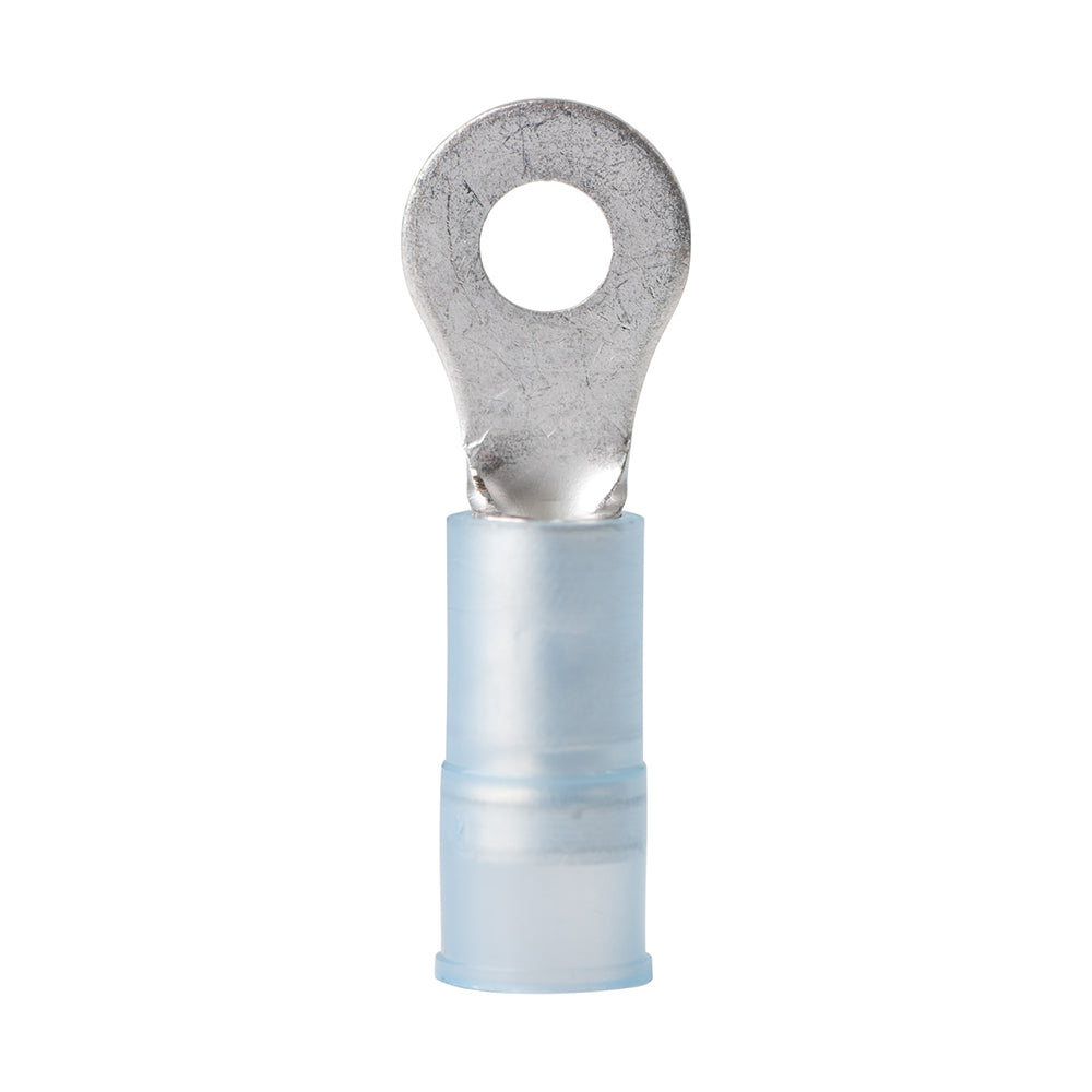 Ancor 1614 AWG  6 Nylon Ring Terminal  25Pack 210211 Main image