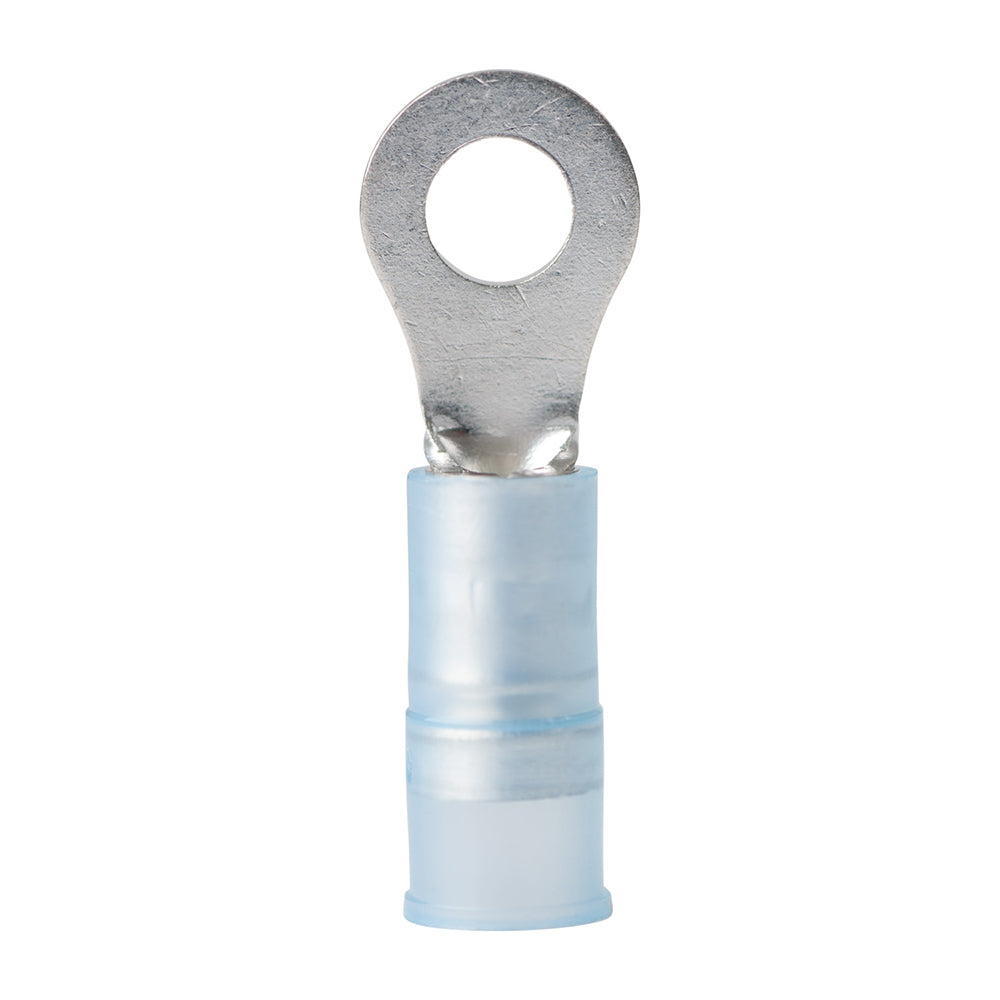 Ancor 1614 AWG  8 Nylon Ring Terminal  100Pack 220212 Main image