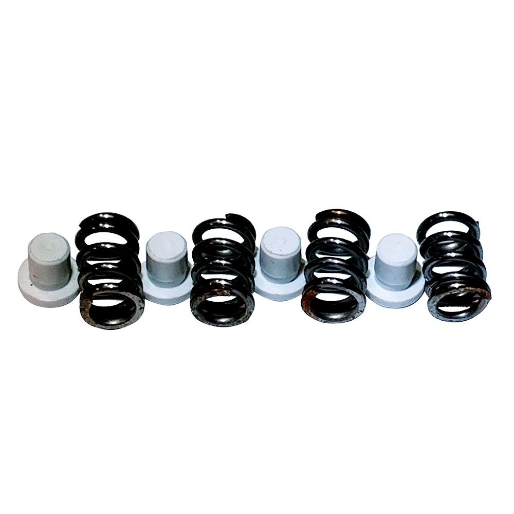 Maxwell PlungerSpring Kit  22004500 P101550 Main image