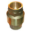 GROCO 1 Bronze InLine Check Valve CV100