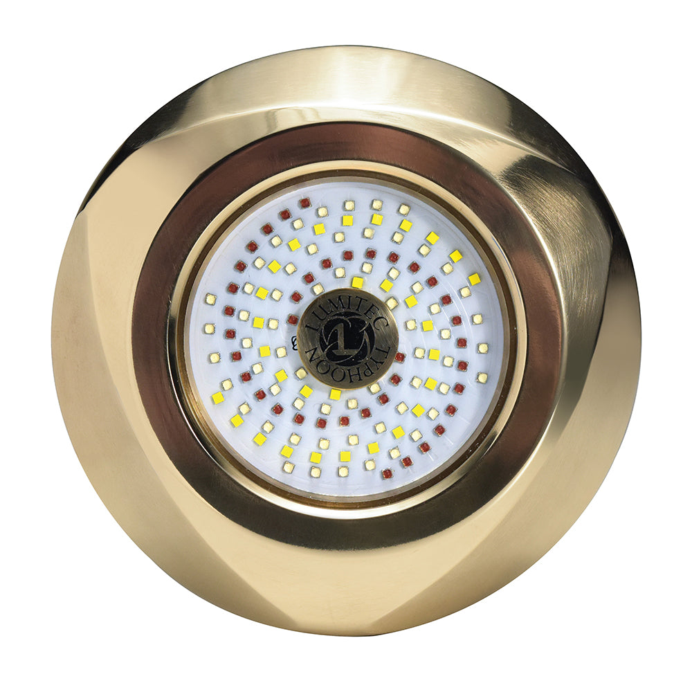 Lumitec SeaBlaze Typhoon Underwater Bronze ThruHull LED Light  WhiteBlue 101448 Main image
