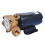GROCO Heavy Duty Positive Displacement Vane Pump  12V SPO60N 12V