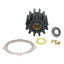 Johnson Pump Service Kit F6B9 0945825