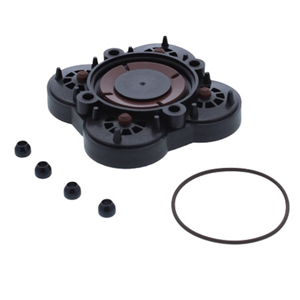 Jabsco Valve Kit Viton 189117020 Main image
