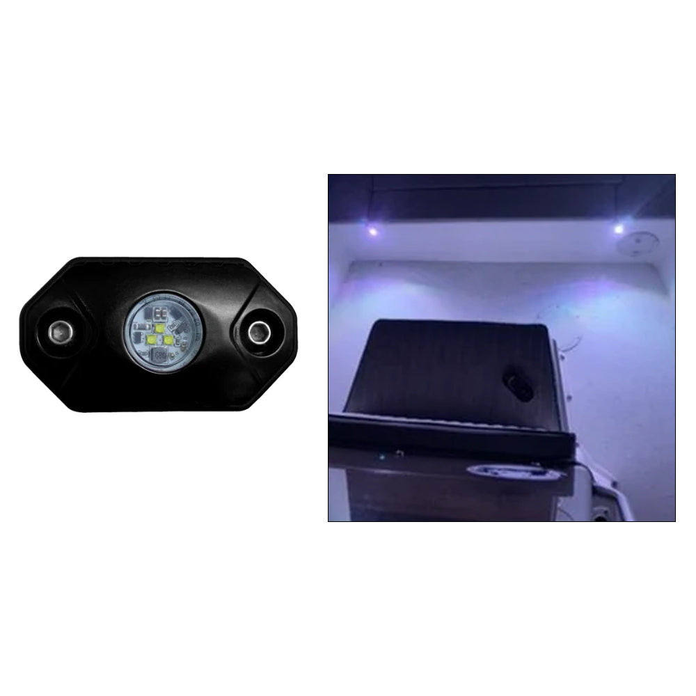 Black Oak Rock Accent Light  White  Black Housing RLW Main image