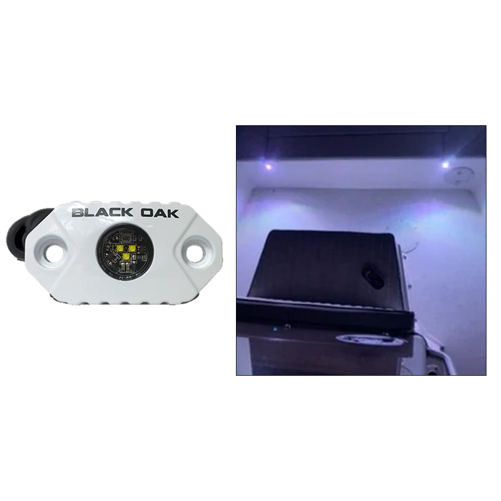 Black Oak Rock Accent Light  White LEDs  White Housing MALW Main image