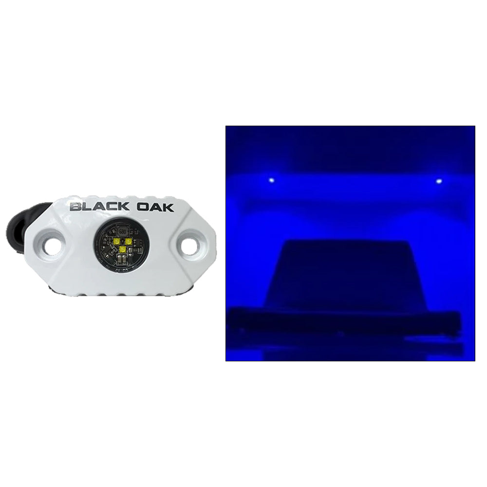 Black Oak Rock Accent Light  Blue LEDs  White Housing MALB Main image