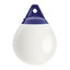 Polyform ASeries A0 Buoy 8 Diameter  White A0 WHITE