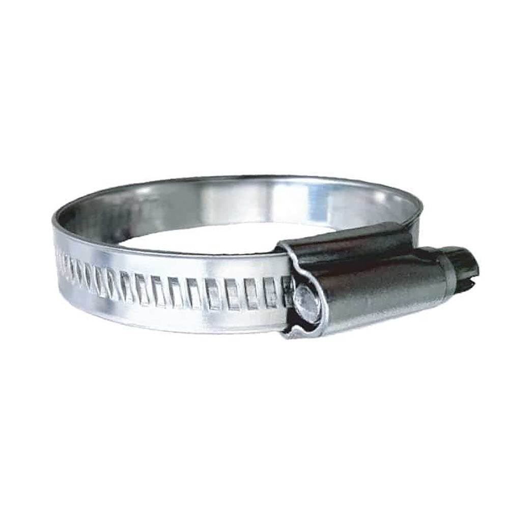 Trident Marine 316 SS NonPerforated Worm Gear Hose Clamp  1532 Band  78  114 Clamping Range  10Pack  SAE Size 12 7100341 Main image