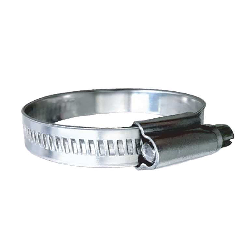 Trident Marine 316 SS NonPerforated Worm Gear Hose Clamp  1532 Band  114  134 Clamping Range  10Pack  SAE Size 20 Main image