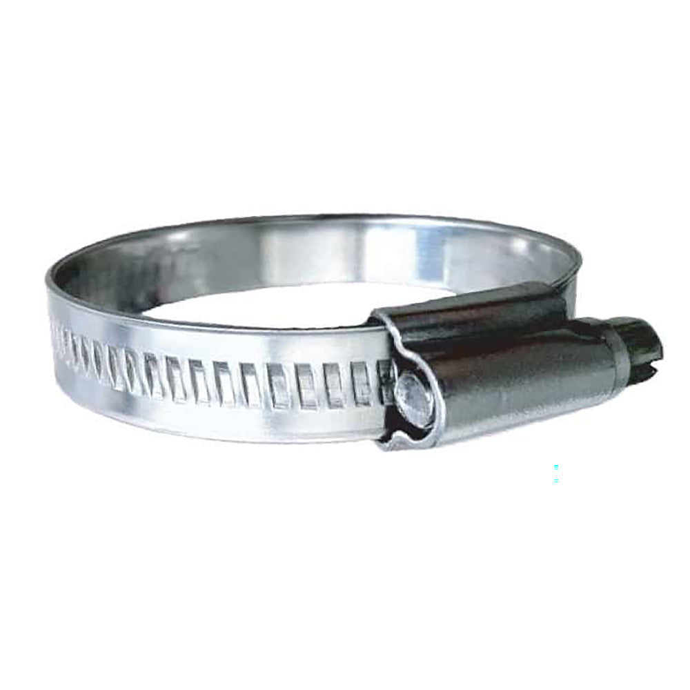 Trident Marine 316 SS NonPerforated Worm Gear Hose Clamp  1532 Band  112  2 Clamping Range  10Pack  SAE Size 24 7101381 Main image