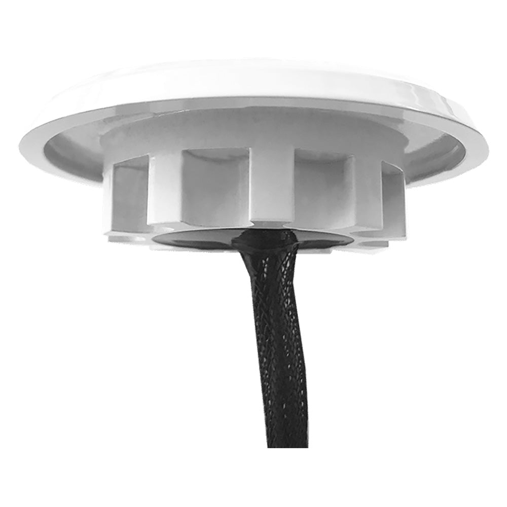 Shadow-Caster Downlight - White Housing - Bimini Blue [SCM-DLXS-BB-WH] Secondary image